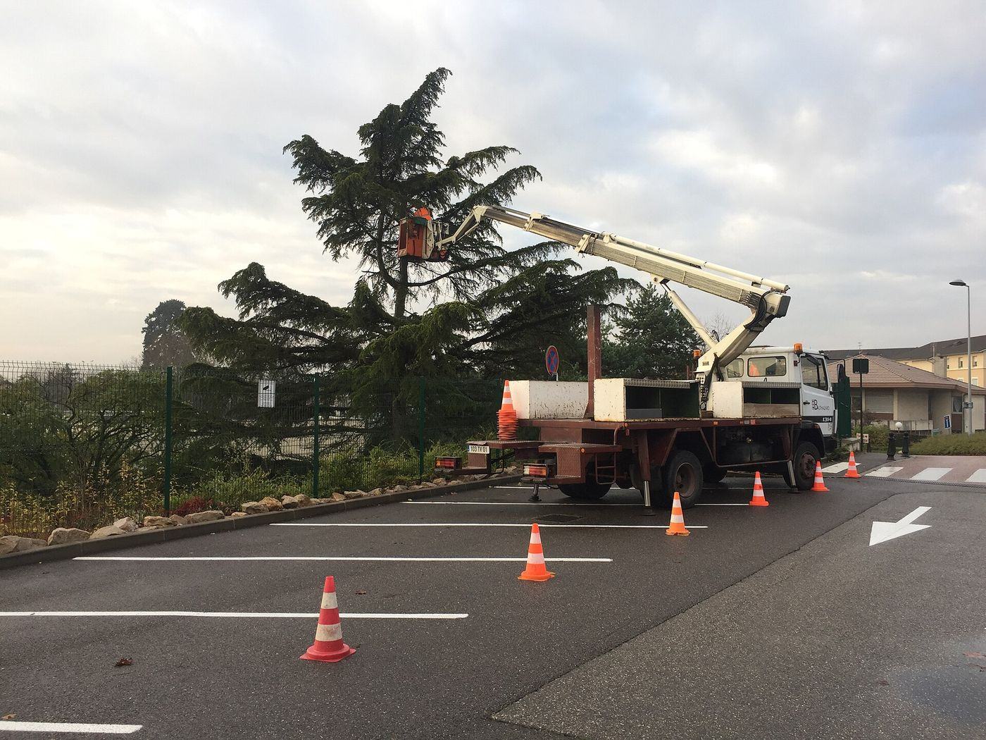 Élagage depuis une nacelle, chantier balisé